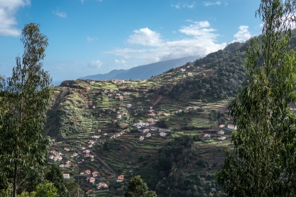 Madeira (15 von 231)